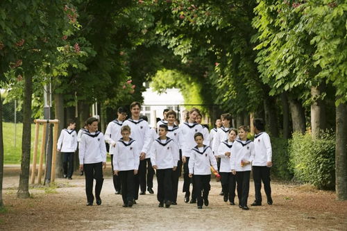 維也納童聲合唱團(tuán)唱響天籟,帶來 施特勞斯家族的問候