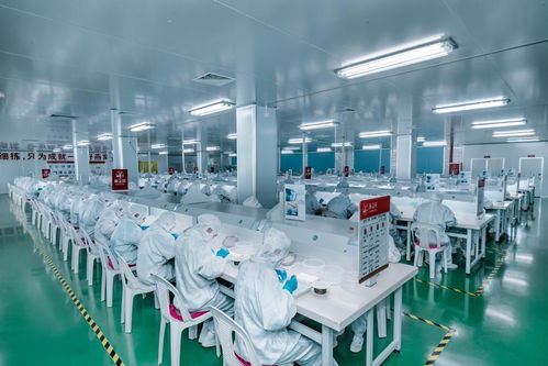 燕之屋115 鮮燉燕窩 堅守匠心精神,嚴把品質(zhì)關(guān)卡